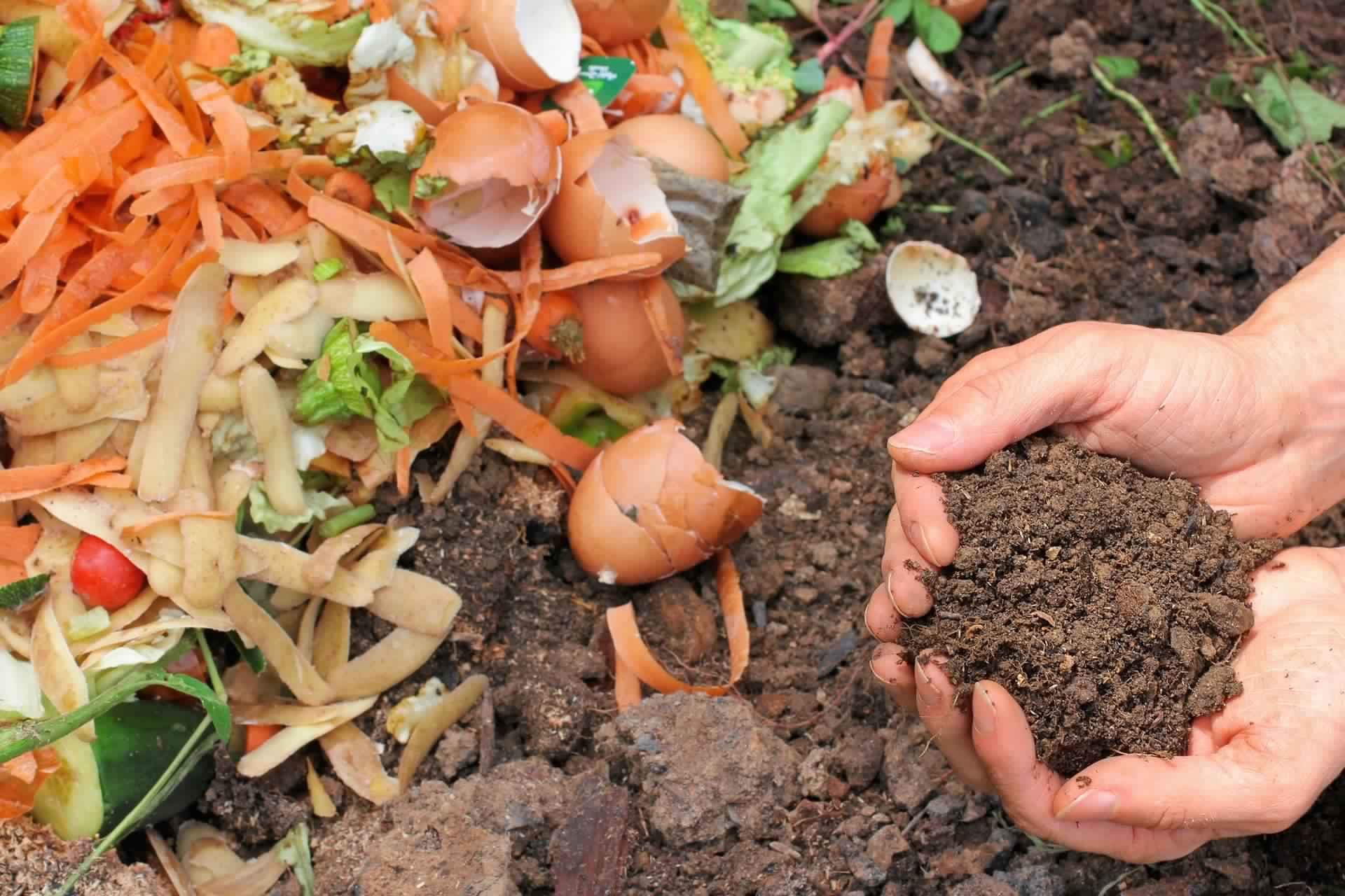 Compost of bio